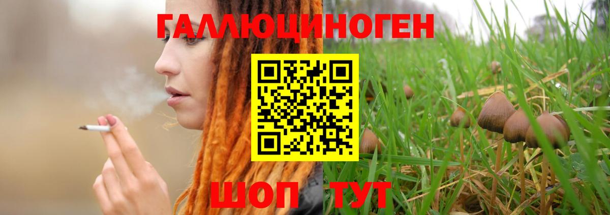 Псилоцибиновые грибы GOLDEN TEACHER Наро-Фоминск